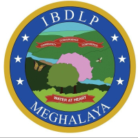 MBMA