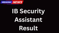 IB Security Assistant Result