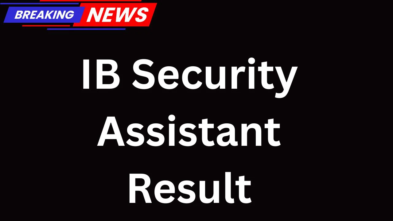 IB Security Assistant Result