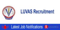 LUVAS Recruitment