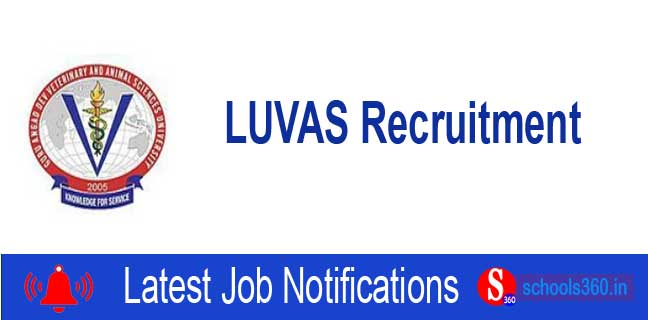 LUVAS Recruitment