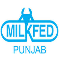 Milkfed Punjab Assistant Manager Syllabus