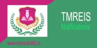 TMREIS
