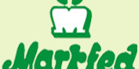 MARKFED Punjab Assistant Accountant Syllabus