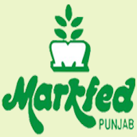 MARKFED Punjab Assistant Accountant Syllabus