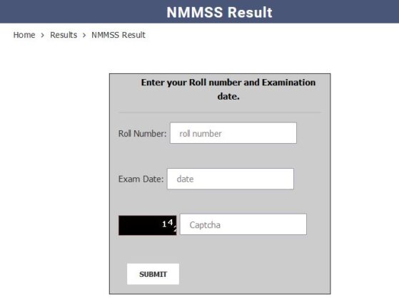 NMMSS Result