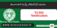ts-dsc-notification