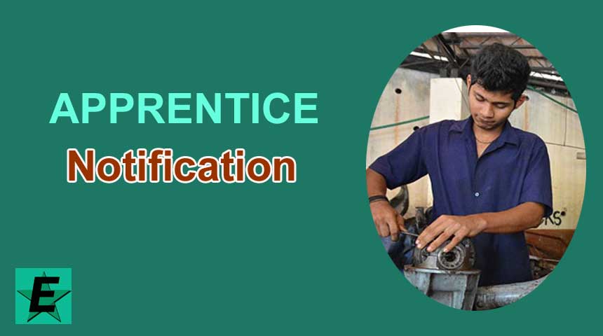 apprentice-Jobs