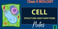cell-its-structure