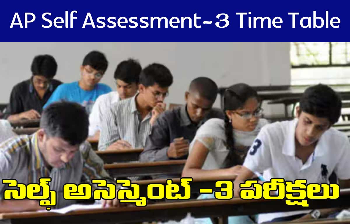ap-self-assessment-3-exams