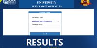 ignou assignment