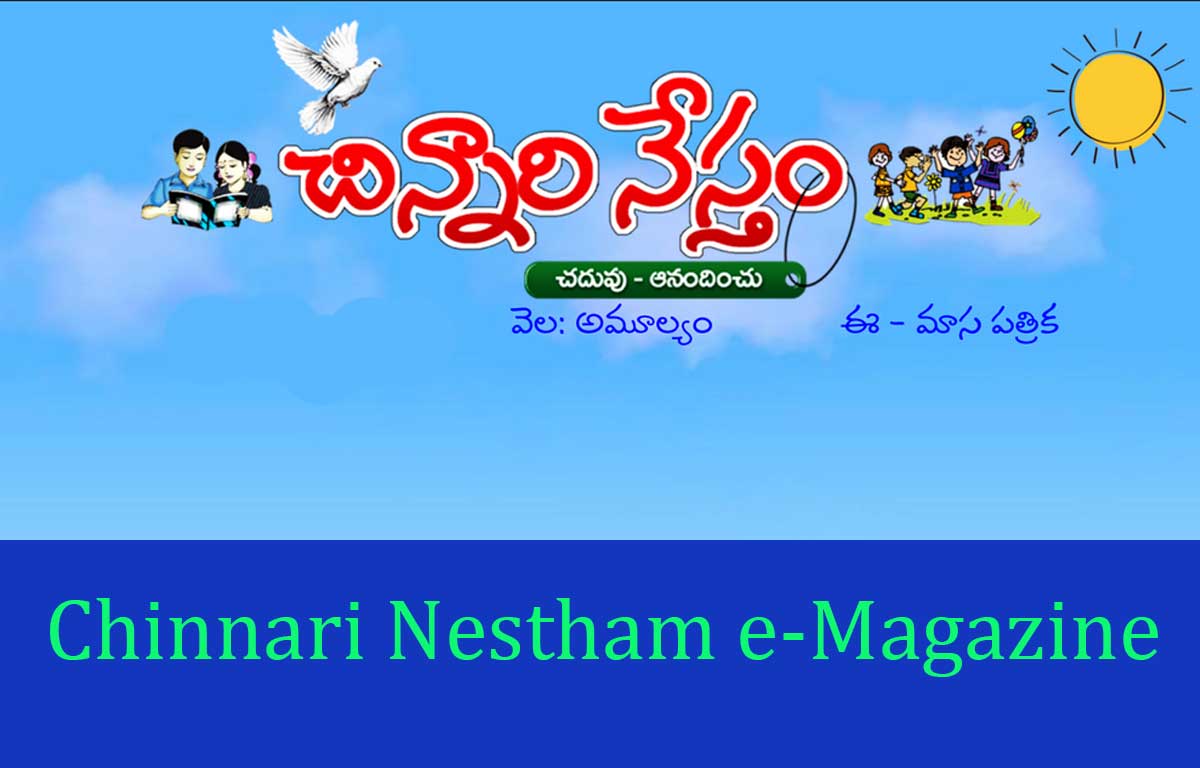 chinnari-nestham